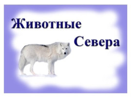 Тематическая неделя "Животные Севера" Тематическая неделя "Животные Севера".