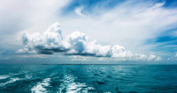 Тематическая неделя "Вода. Бескрайнее море" Тематическая неделя "Вода. Бескрайнее море".